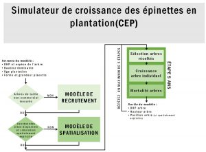 figure_cep