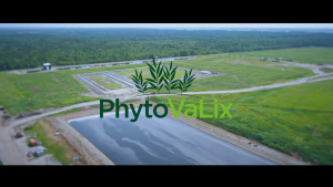 phytovalix-sans-play
