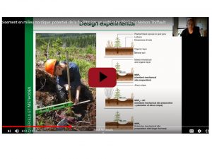 capture-webinaire-nelson